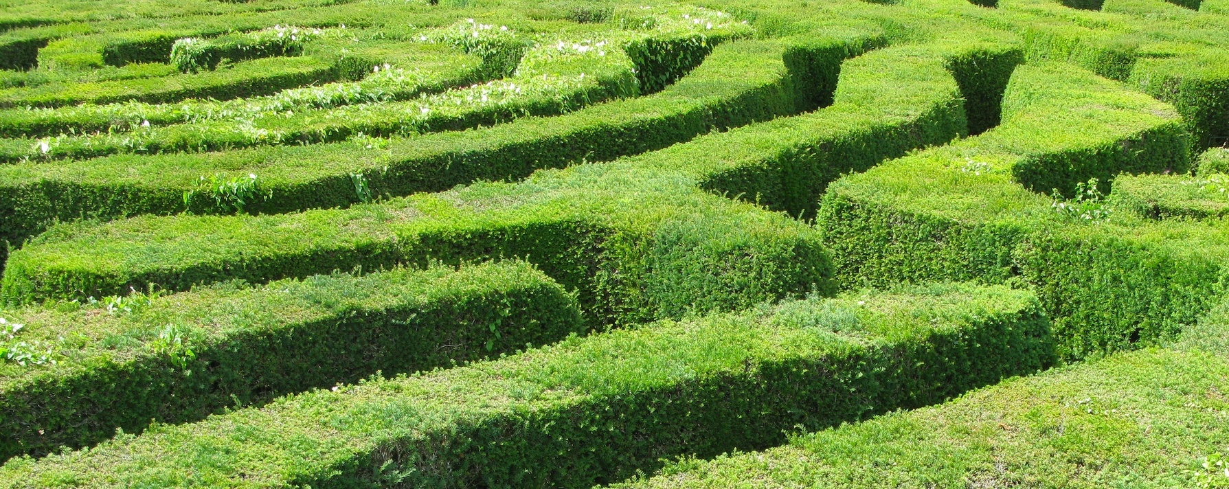 MFG Umweltschutz Labyrinth