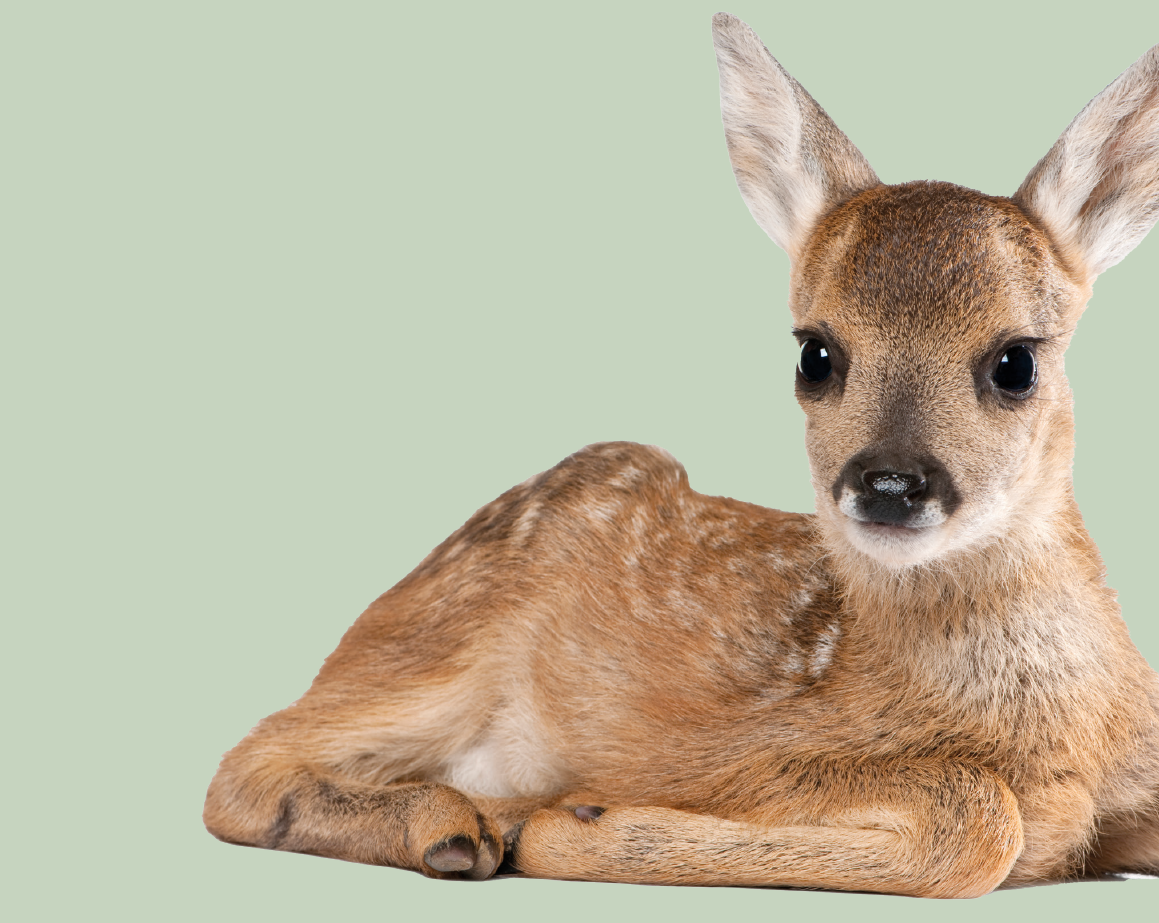 Regional gedruckt, kurze Lieferwege.