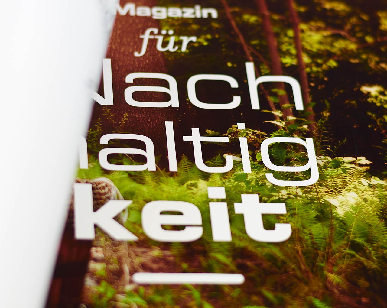 Umweltfreundlich, Papierberatung, Recyclingpapier