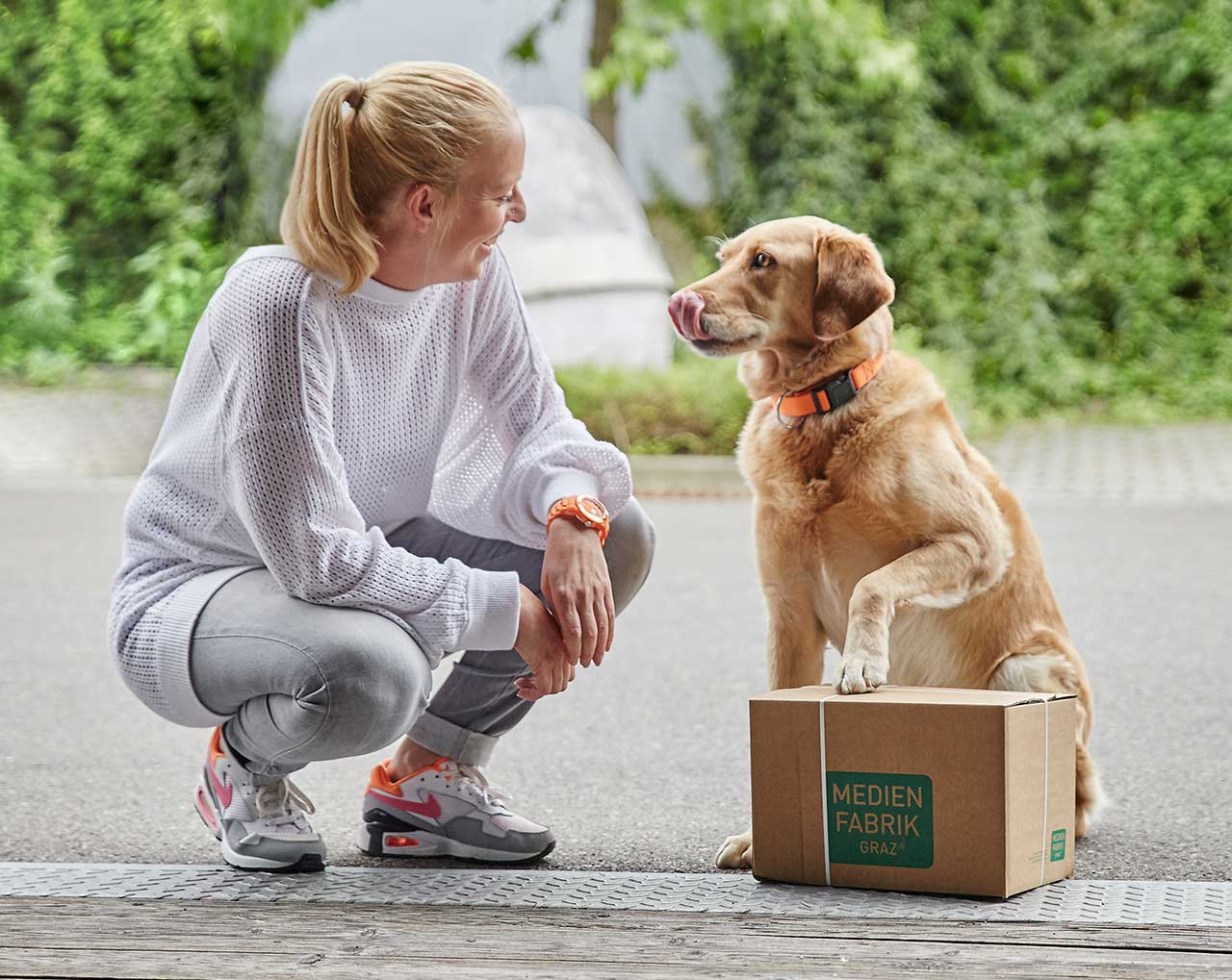 Termintreue Paketlieferung, Medienfabrik-Hund, Sam 