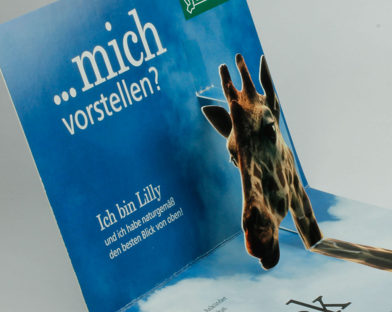 3D-Mailing, Direct-Mailing, Medienfabrik Graz, Steiermark 3D-Mailing, Direct-Mailing, Medienfabrik Graz, Steiermark